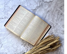 Weizen neben einer Bibel Weizen neben einer Bibel